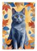 Chartreux Cat in Fall Leaves House Flag Large Porch Sleeve Pole Decorative Outside Yard Banner Artwork Wall Hanging, Polyester, House Size, Multicolor