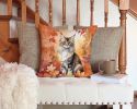 Oriental Longhair Cat in Fall Leaves Throw Pillow Machine Washable, Indoor Outdoor Decorative Pillow for Couch, Bed or Patio, 14Hx14W