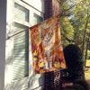 La Perm Cat in Fall Leaves House Flag Large Porch Sleeve Pole Decorative Outside Yard Banner Artwork Wall Hanging, Polyester, House Size, Multicolor